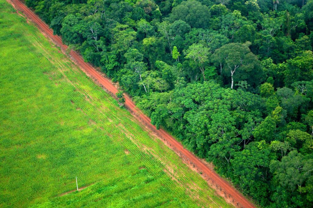 Du « Bandung historique » à l’actualité d’un « Bandung climatique » : le bloc RDC-Indonésie-Brésil pour la défense du climat et la valorisation des forêts tropicales