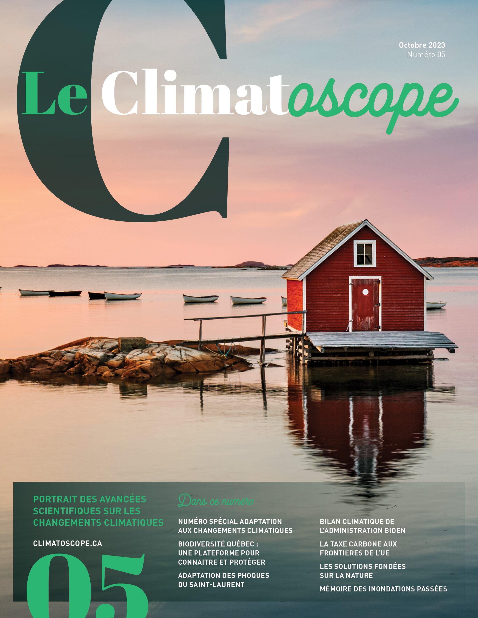 Les phoques et la banquise : réponses comportementales contrastées face aux changements des conditions de glace du golfe du Saint-Laurent