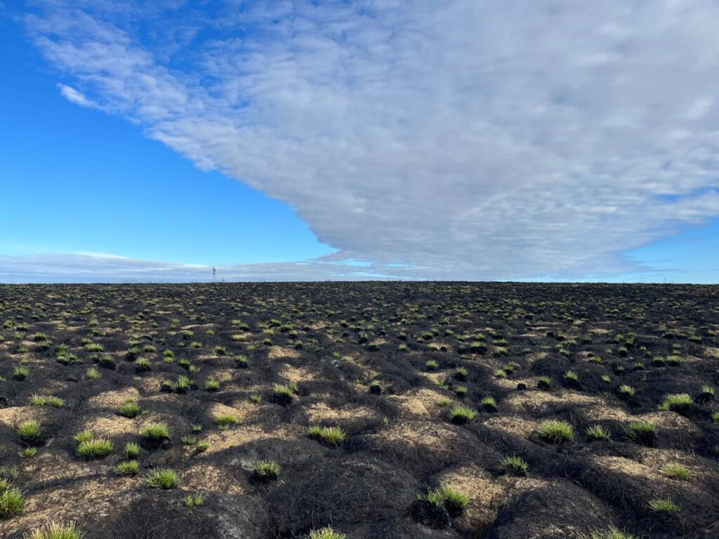 Entre sol et ciel :perturbations écosystémiques et processus atmosphériques dans l’ouest de l’Arctique canadien