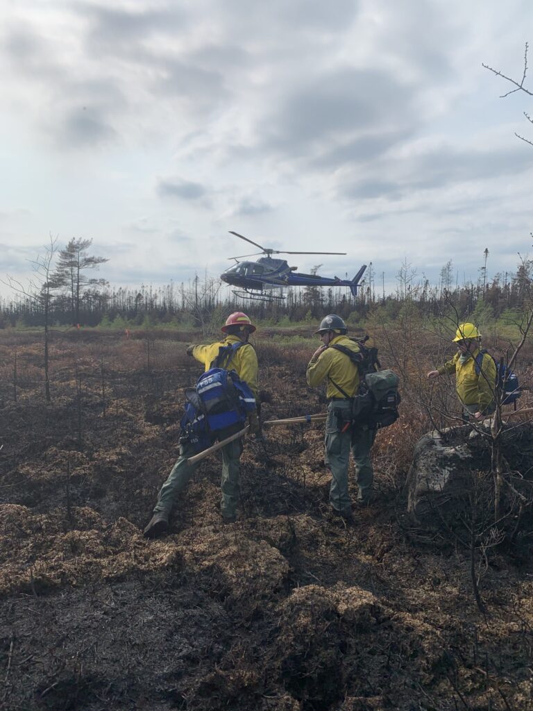 Protéger nos forêts,protéger nos communautés: s’adapter aux feux de forêt dans un climat changeant