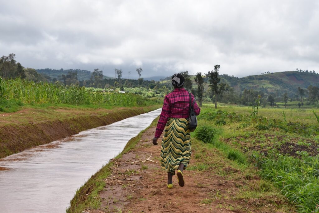 Résilience climatique et sociale dans l’est de la République démocratique du Congo: quel engagement des jeunes ruraux au Sud-Kivu ?