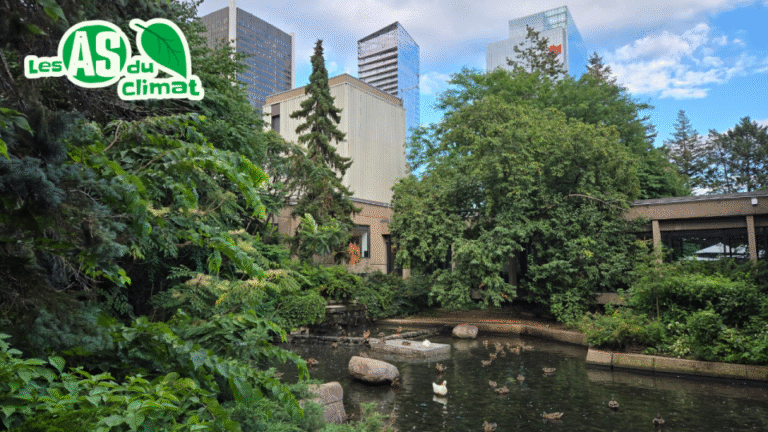 Des jardins et des forêts sur les toits de Montréal!